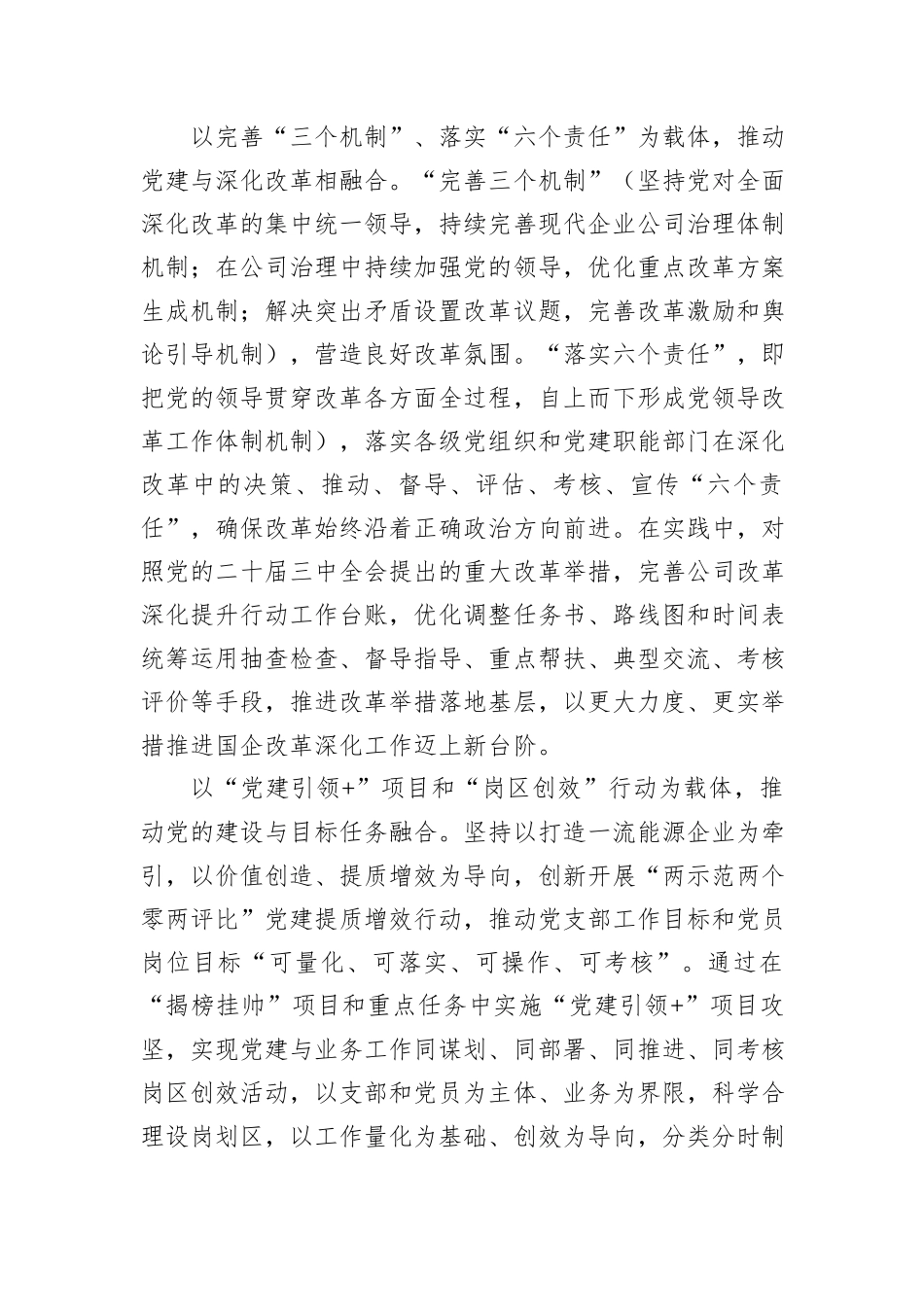 经验交流：构建“党建领航”体系+打造高质量发展新范式_第3页