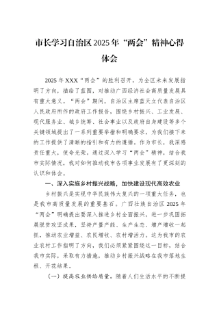 市长学习自治区2025年“两会”精神心得体会