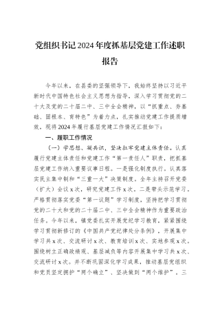 党组织书记2024年度抓基层党建工作述职报告