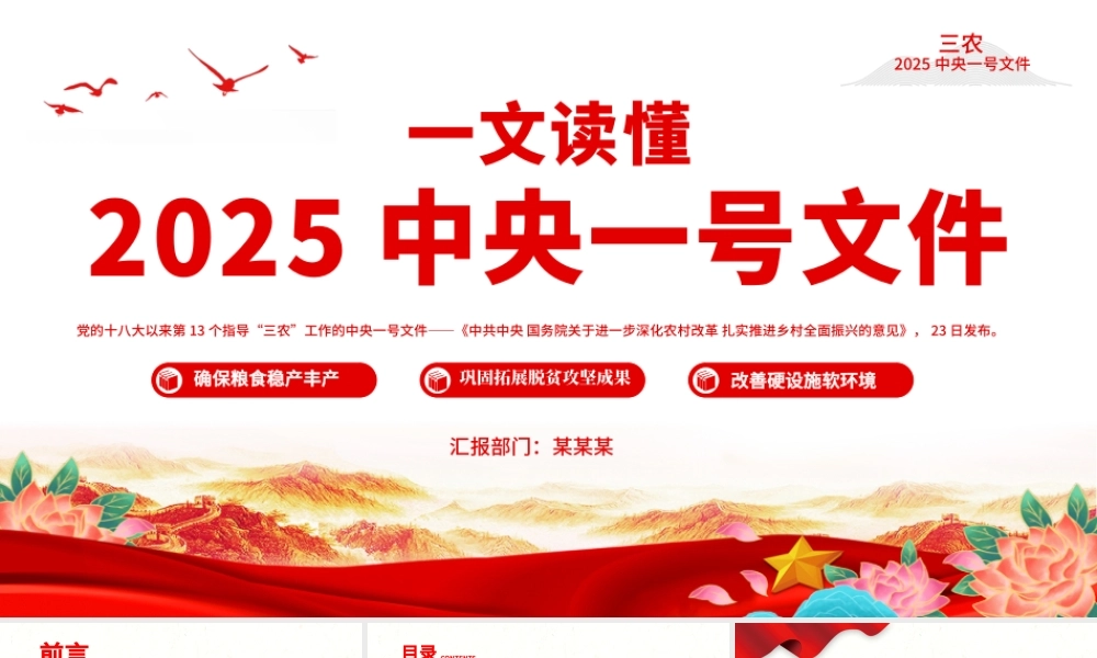 读懂2025中央一号党课ppt课件（20250227）