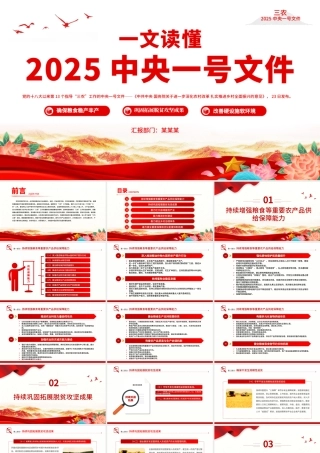 读懂2025中央一号党课ppt课件（20250227）