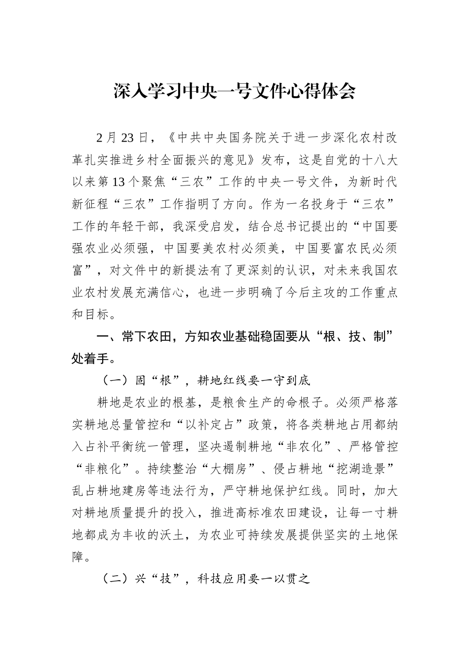 深入学习中央一号文件心得体会_第1页
