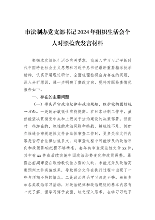 市法制办党支部书记2024年组织生活会个人对照检查发言材料