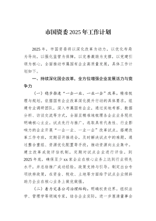 市国资委2025年工作计划