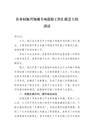 在乡村振兴领域专项巡察工作汇报会上的讲话