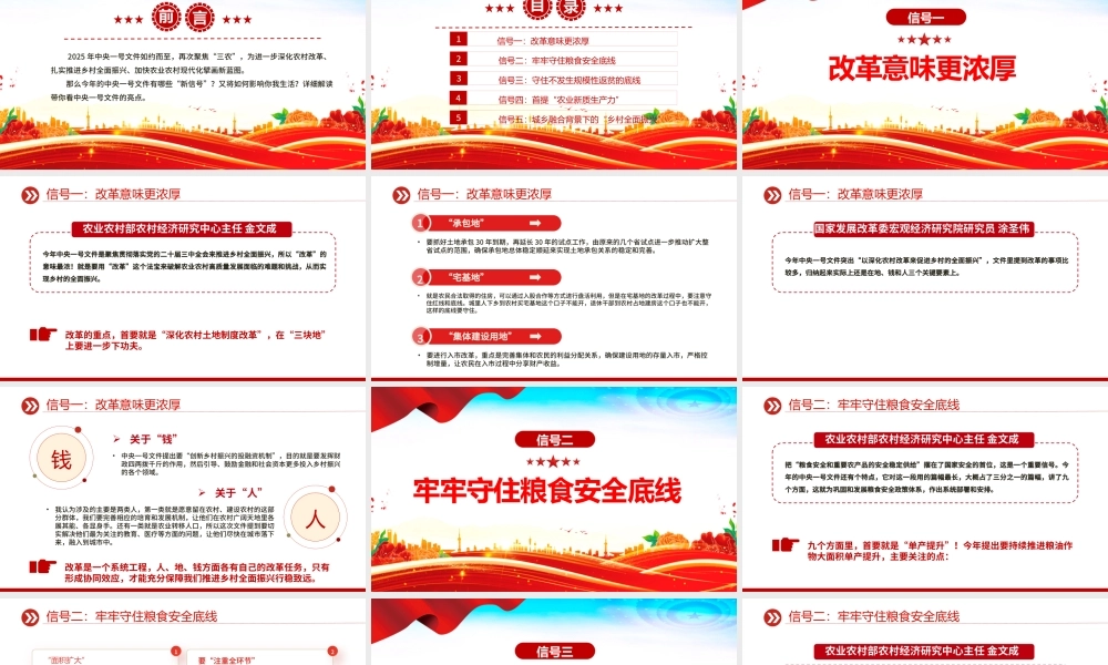 2025中央一号文件释放了哪些新信号PPT党课课件（20250227）