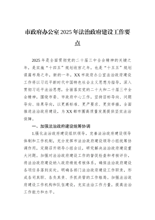 市政府办公室2025年法治政府建设工作要点