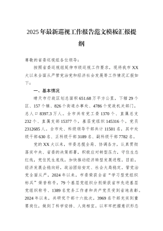 2025年最新巡视工作报告范文模板汇报提纲