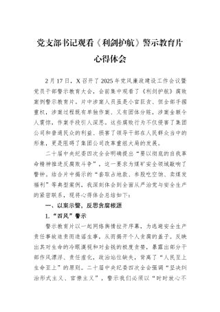 党支部书记观看《利剑护航》警示教育片心得体会