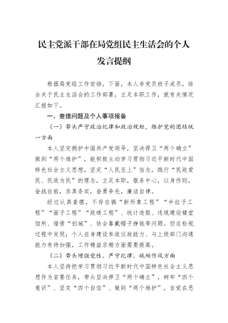 民主党派干部在局党组民主生活会的个人发言提纲