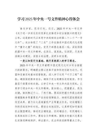 学习2025年中央一号文件精神心得体会