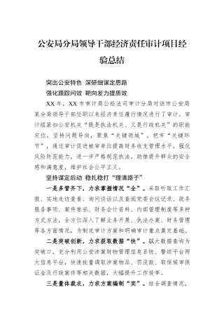 公安局分局领导干部经济责任审计项目经验总结