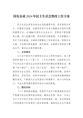 国有企业2024年民主生活会整改工作方案