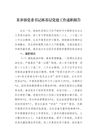 某乡镇党委书记抓基层党建工作述职报告