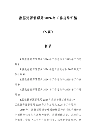 （5篇）数据资源管理局2024年工作总结汇编
