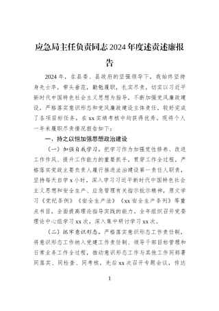 应急局主任负责同志2024年度述责述廉报告