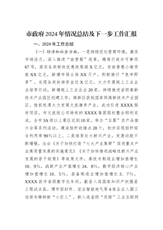 市政府2024年情况总结及下一步工作汇报
