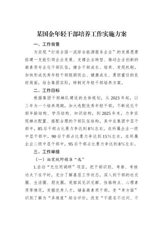 某国企年轻干部培养工作实施方案