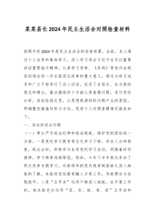 某某县长2024年民主生活会对照检查材料