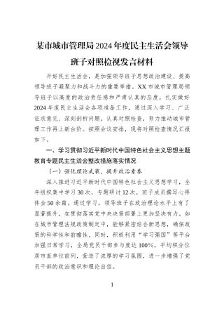 某市城市管理局2024年度民主生活会领导班子对照检视发言材料