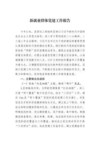 新就业群体党建工作报告