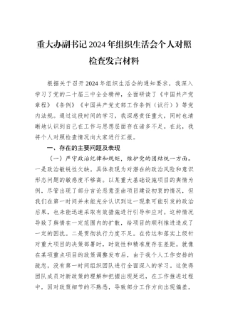 重大办副书记2024年组织生活会个人对照检查发言材料