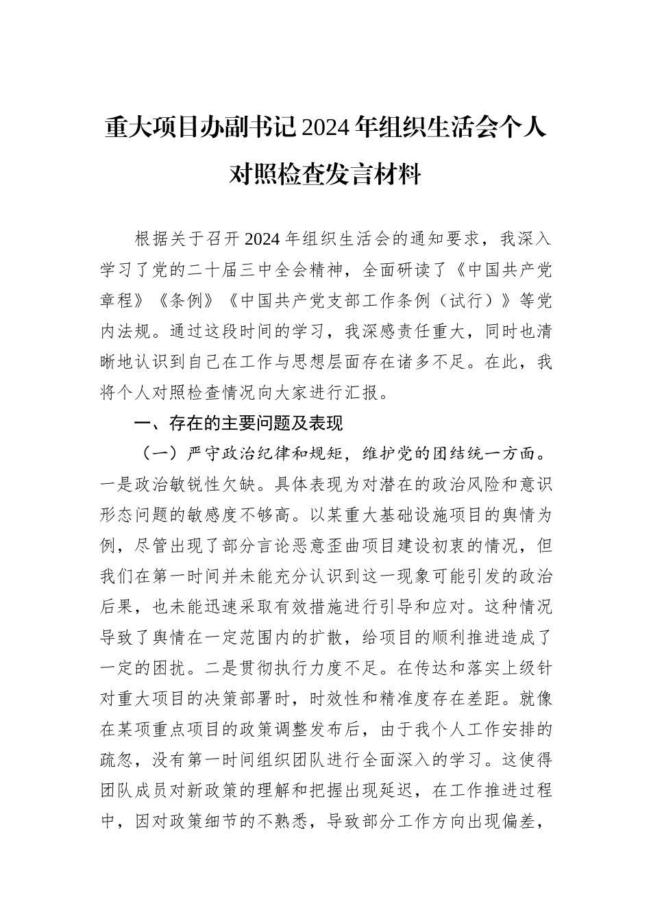 重大项目办副书记2024年组织生活会个人对照检查发言材料_第1页