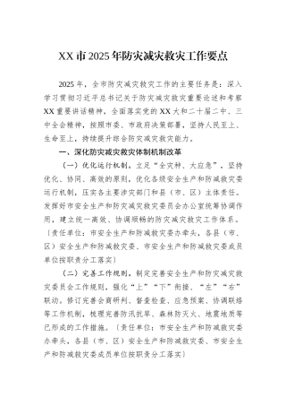 XX市2025年防灾减灾救灾工作要点