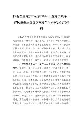国有企业党委书记在2024年度党员领导干部民主生活会会前专题学习研讨会发言材料