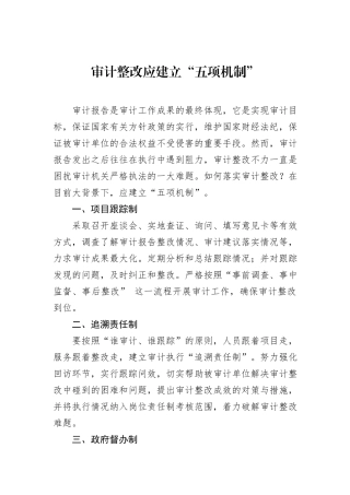审计整改应建立“五项机制”