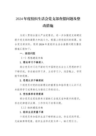 2024年度组织生活会党支部查摆问题及整改措施