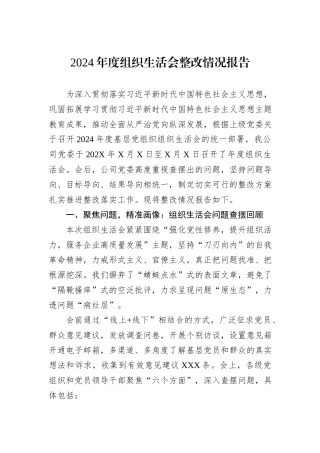 2024年度组织生活会整改情况报告