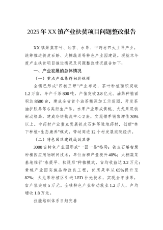 2025年XX镇产业扶贫项目问题整改报告