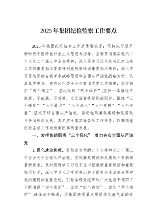 2025年集团纪检监察工作要点