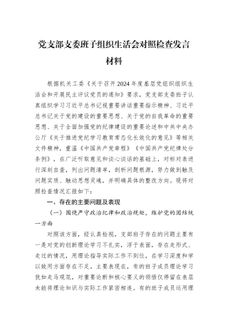 党支部支委班子组织生活会对照检查发言材料