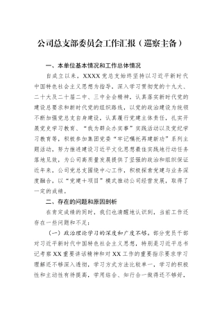 公司总支部委员会工作汇报（巡察主备）