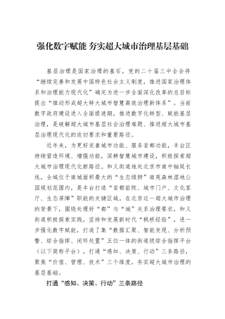 强化数字赋能+夯实超大城市治理基层基础
