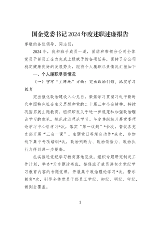 国企党委书记2024年度述职述廉报告