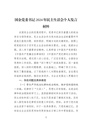 国企党委书记2024年民主生活会个人发言材料