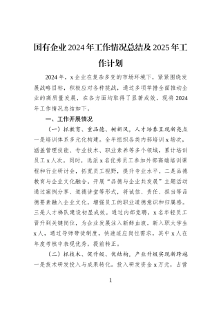 国有企业2024年工作情况总结及2025年工作计划