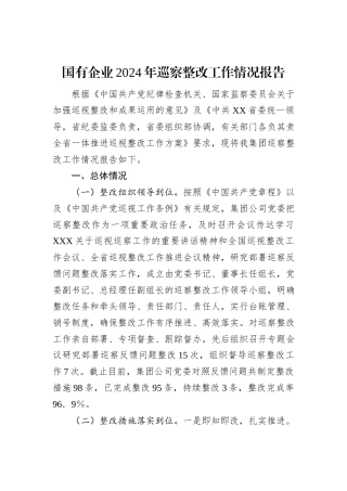 国有企业2024年巡察整改工作情况报告