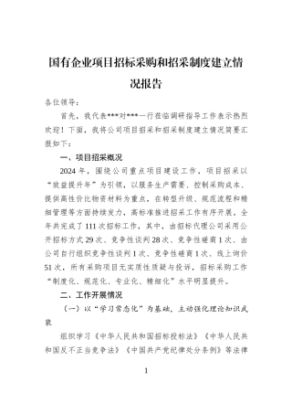 国有企业项目招标采购和招采制度建立情况报告