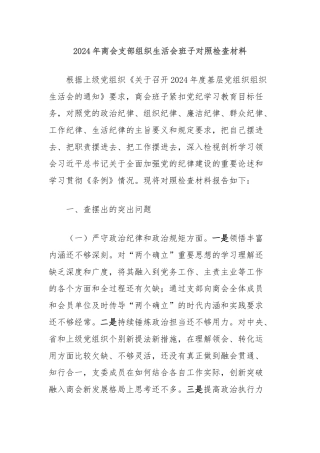 2024年商会支部组织生活会班子对照检查材料