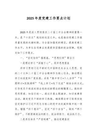2025年度党建工作要点计划