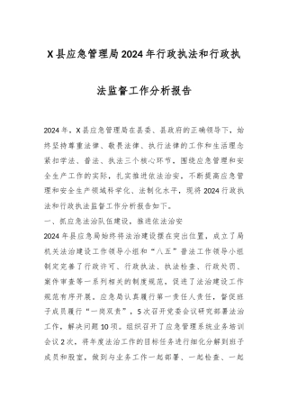 X县应急管理局2024年行政执法和行政执法监督工作分析报告