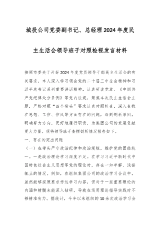 城投公司党委副书记、总经理2024年度民主生活会领导班子对照检视发言材料