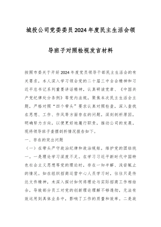 城投公司党委委员2024年度民主生活会领导班子对照检视发言材料