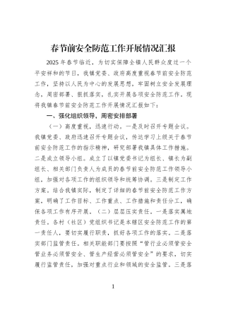 春节前安全防范工作开展情况汇报