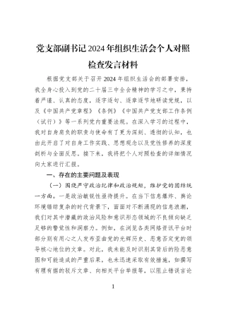 党支部副书记2024年组织生活会个人对照检查发言材料