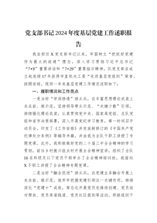 党支部书记2024年度基层党建工作述职报告